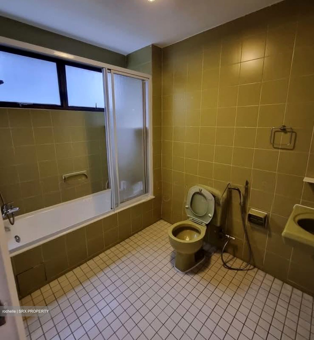 The Cairnhill (D9), Condominium #599723431